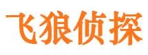 济阳调查取证